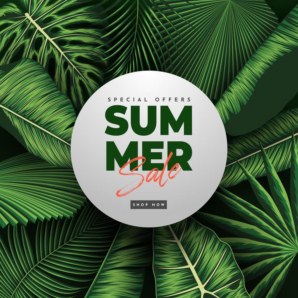 Summer Sale Banner With Tropical Leaves Background. Vector Illustration