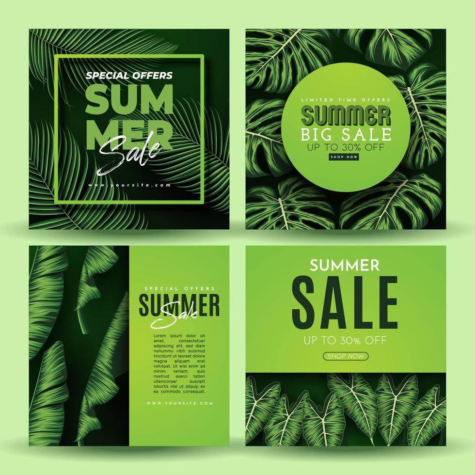 Summer Sale Banner With Tropical Leaves Background. Vector Illustration