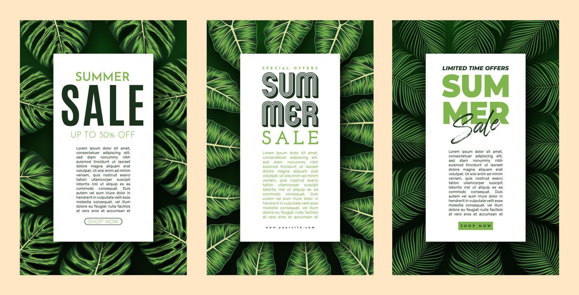 Summer Sale Banner With Tropical Leaves Background. Vector Illustration