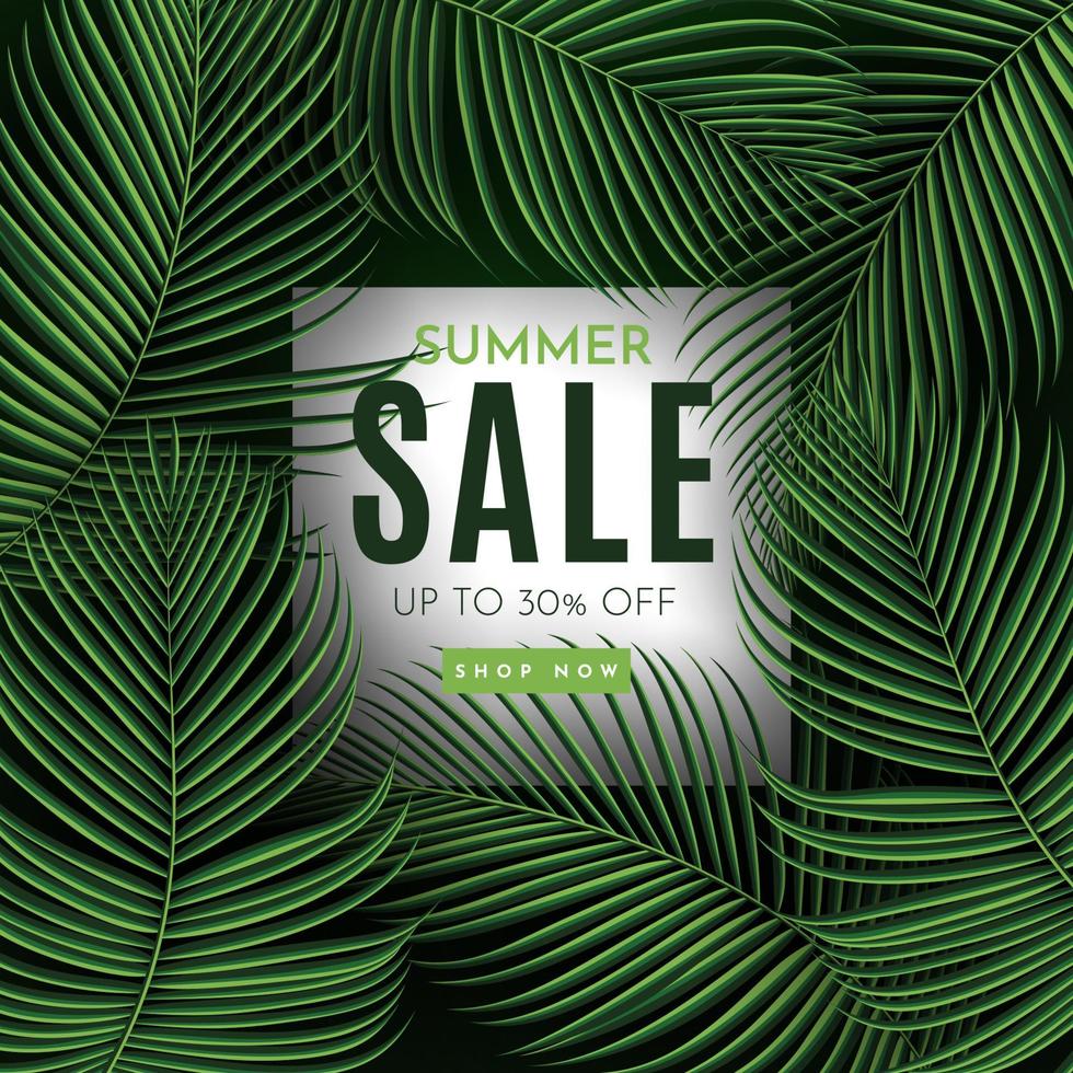 Summer Sale Banner With Tropical Leaves Background. Vector Illustration