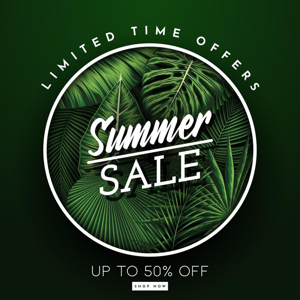 Summer Sale Banner With Tropical Leaves Background. Vector Illustration