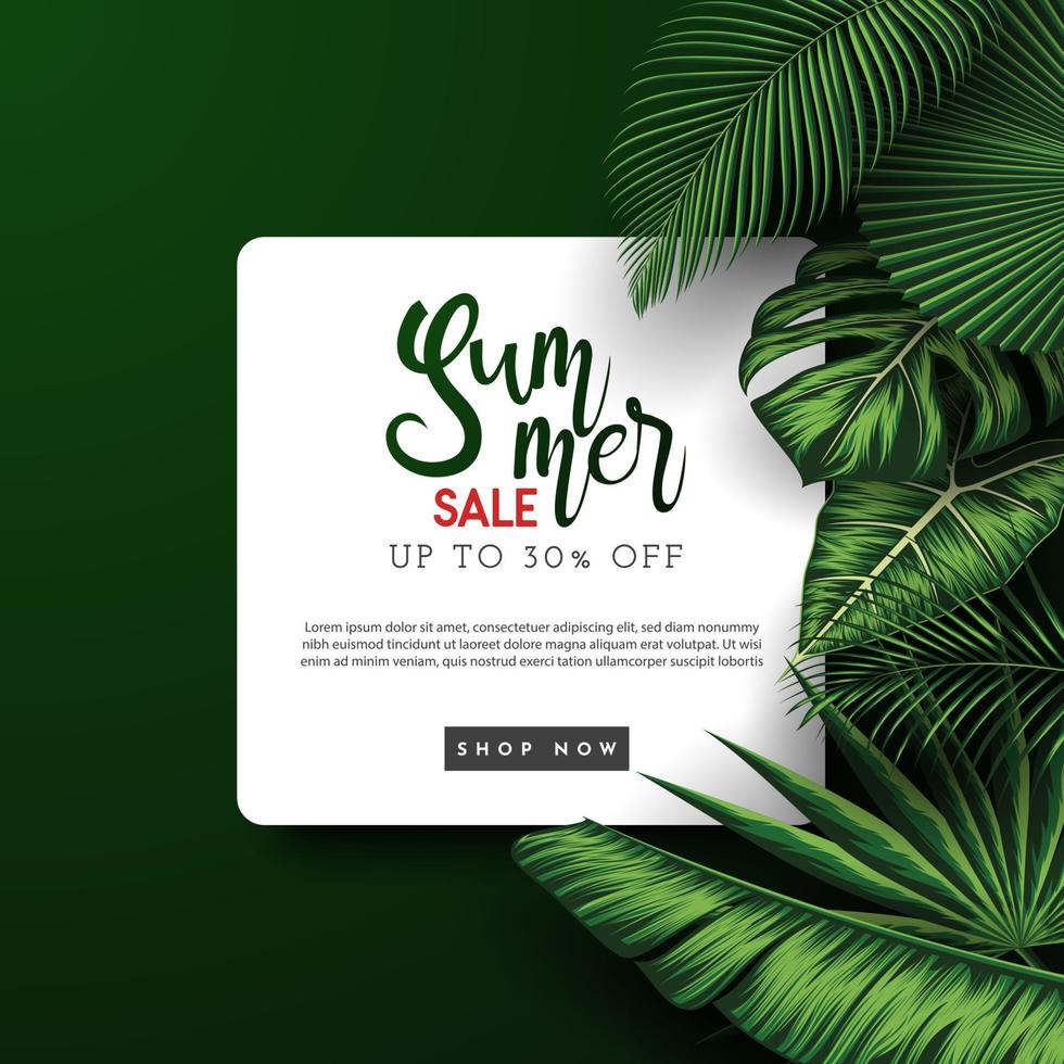 Summer Sale Banner With Tropical Leaves Background. Vector Illustration