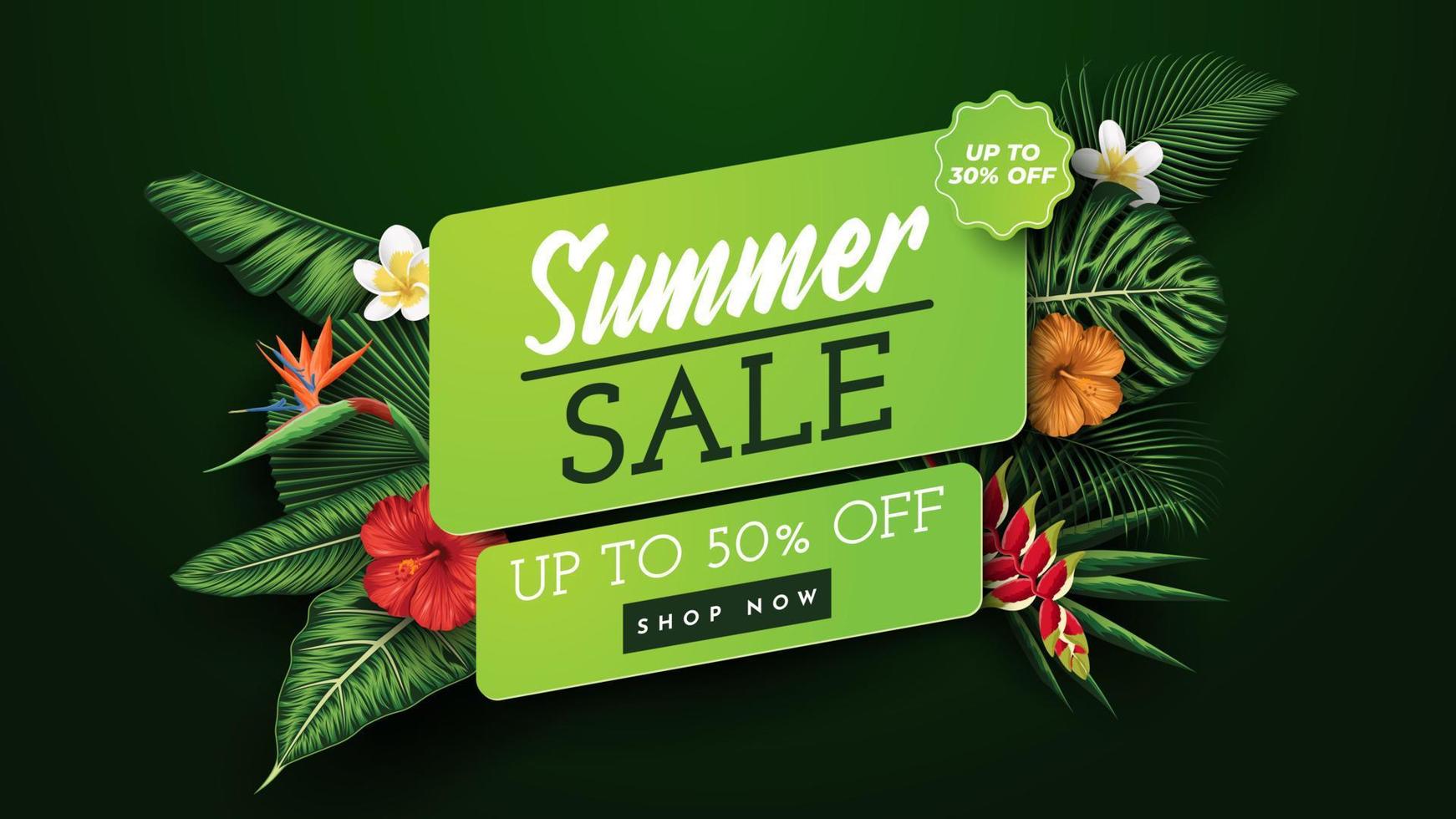 Summer Sale Banner With Tropical Leaves Background. Vector Illustration