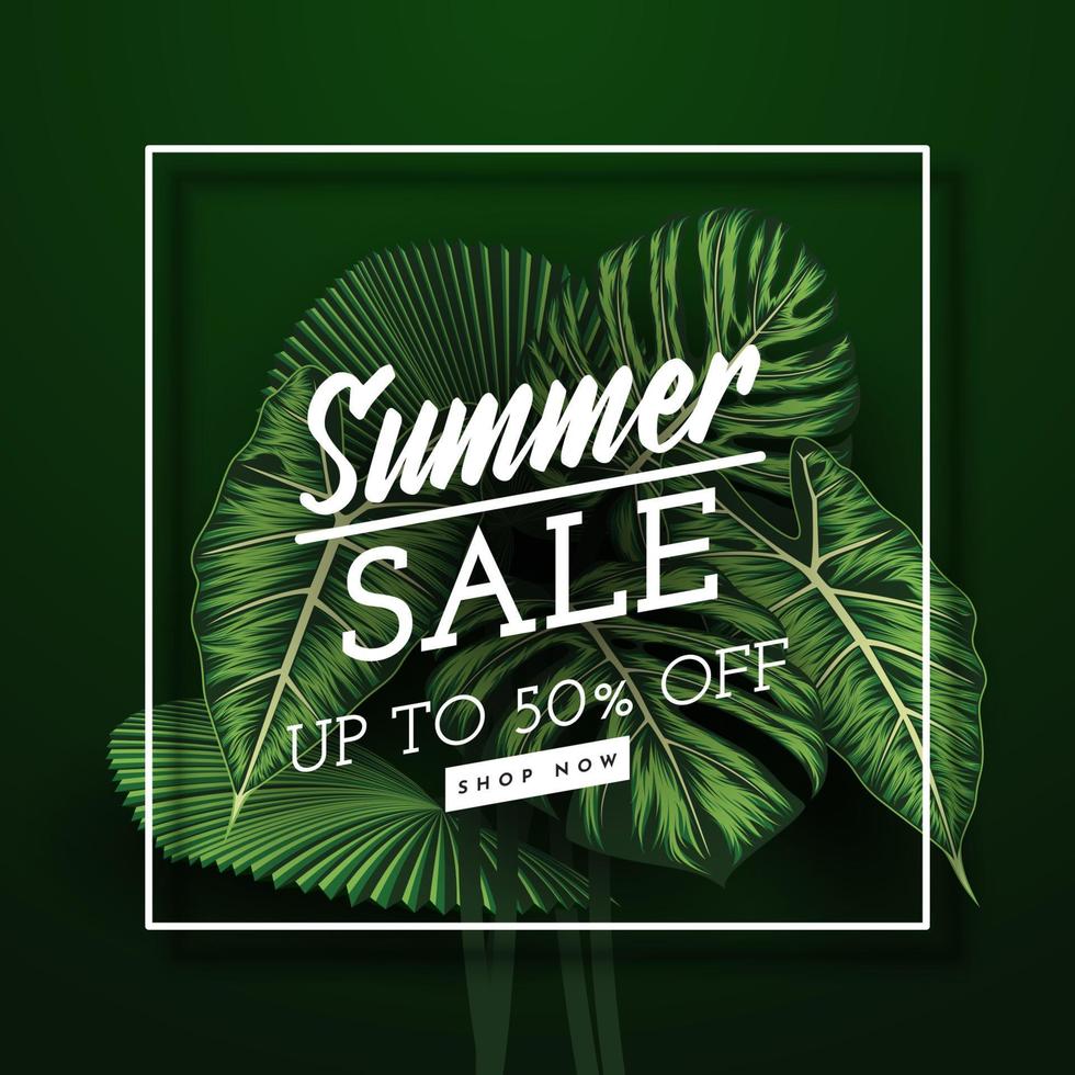 Summer Sale Banner With Tropical Leaves Background. Vector Illustration