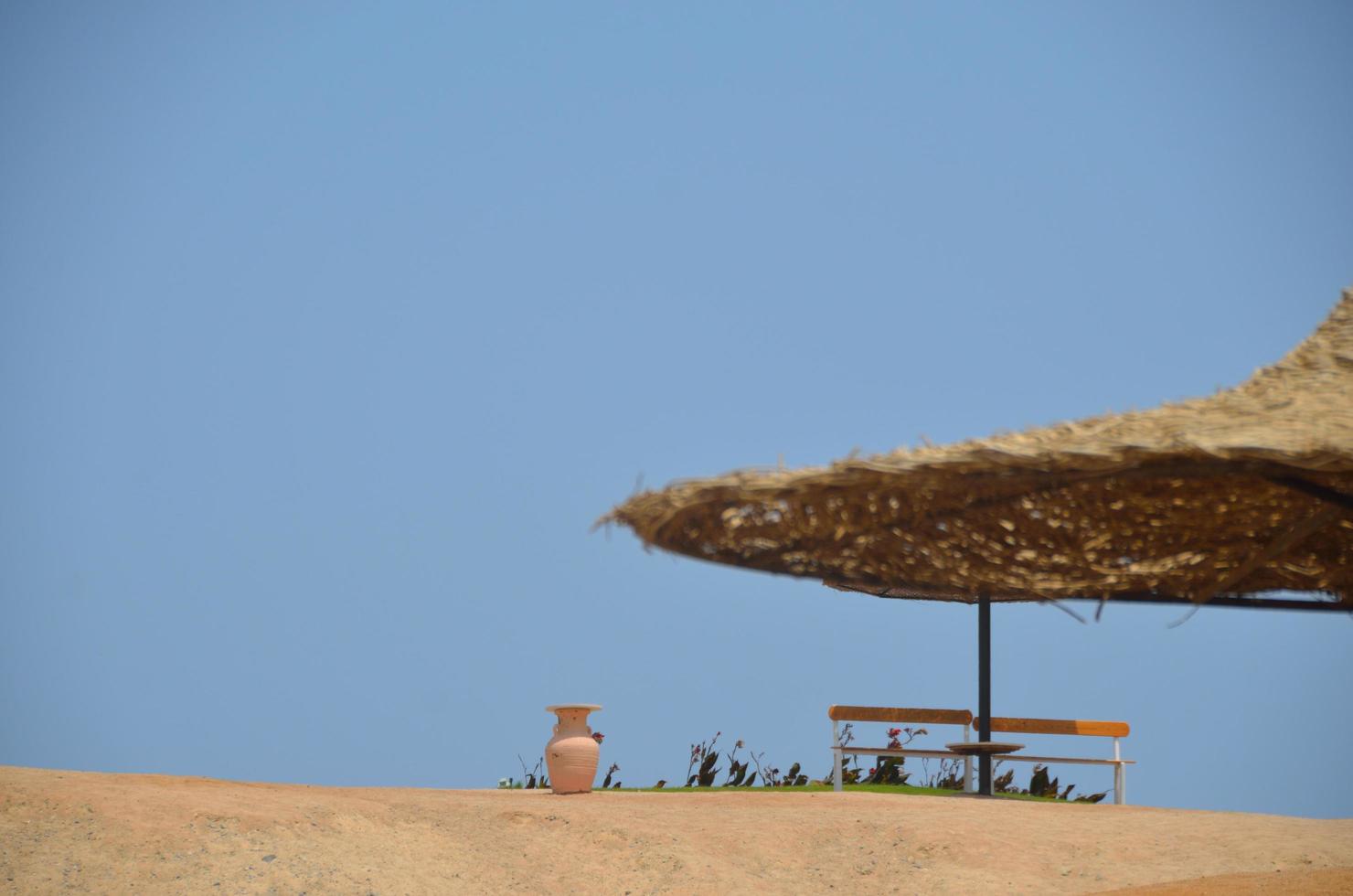 sandy beach with benches and vase with flowers photo