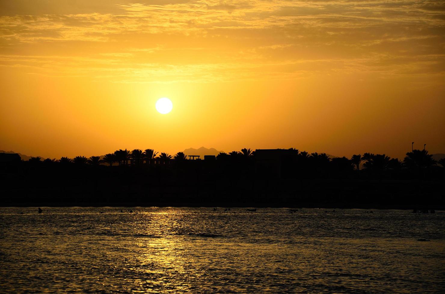 sunset on sea with palm trees photo