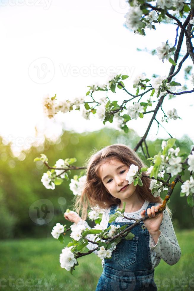 A cute little girl of 5 years old in a blooming white apple orchard in spring. Springtime, orchard, flowering, allergy, spring fragrance, tenderness, caring for nature. Portrait photo