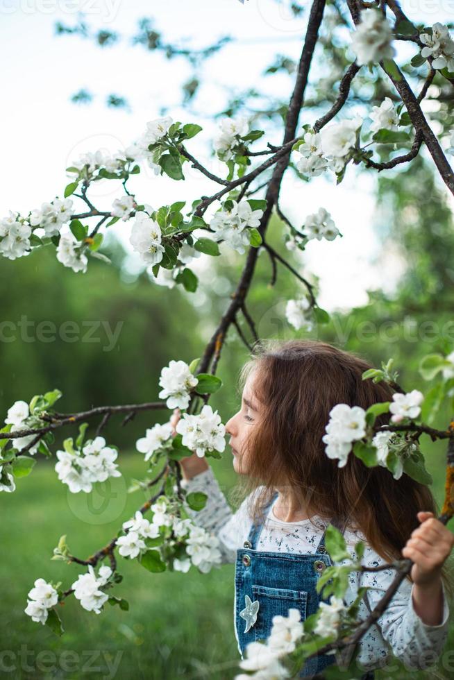 A cute little girl of 5 years old in a blooming white apple orchard in spring. Springtime, orchard, flowering, allergy, spring fragrance, tenderness, caring for nature. Portrait photo