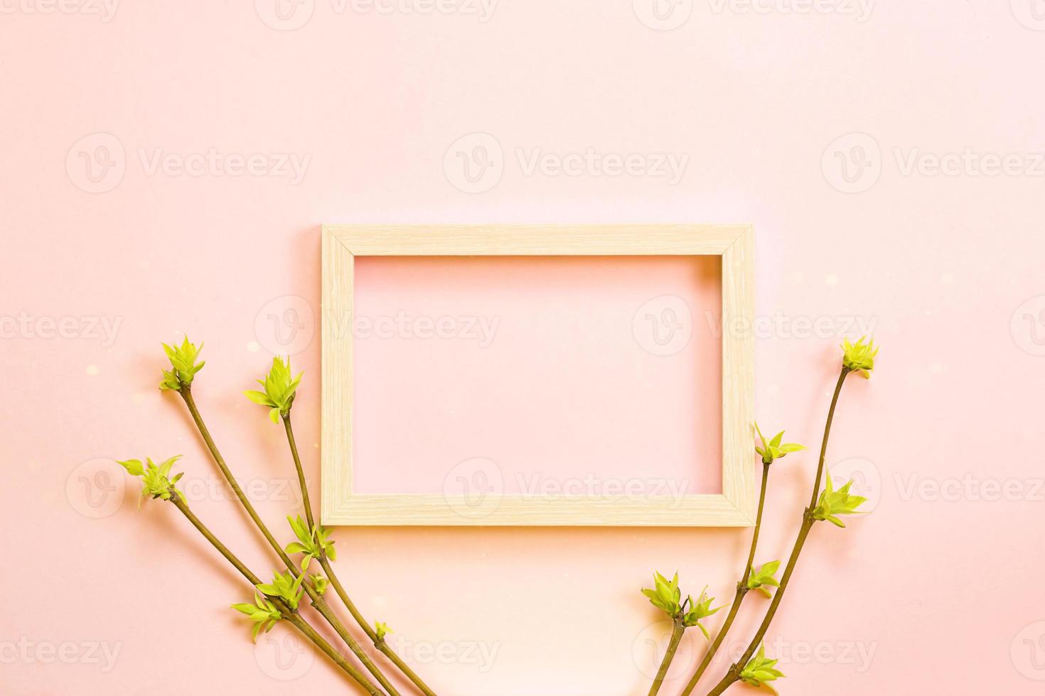 Delicate little leaves from open buds on branches-sprouts on a pink background. Spring, the beginning of a new life, tenderness. Copy space, frame photo