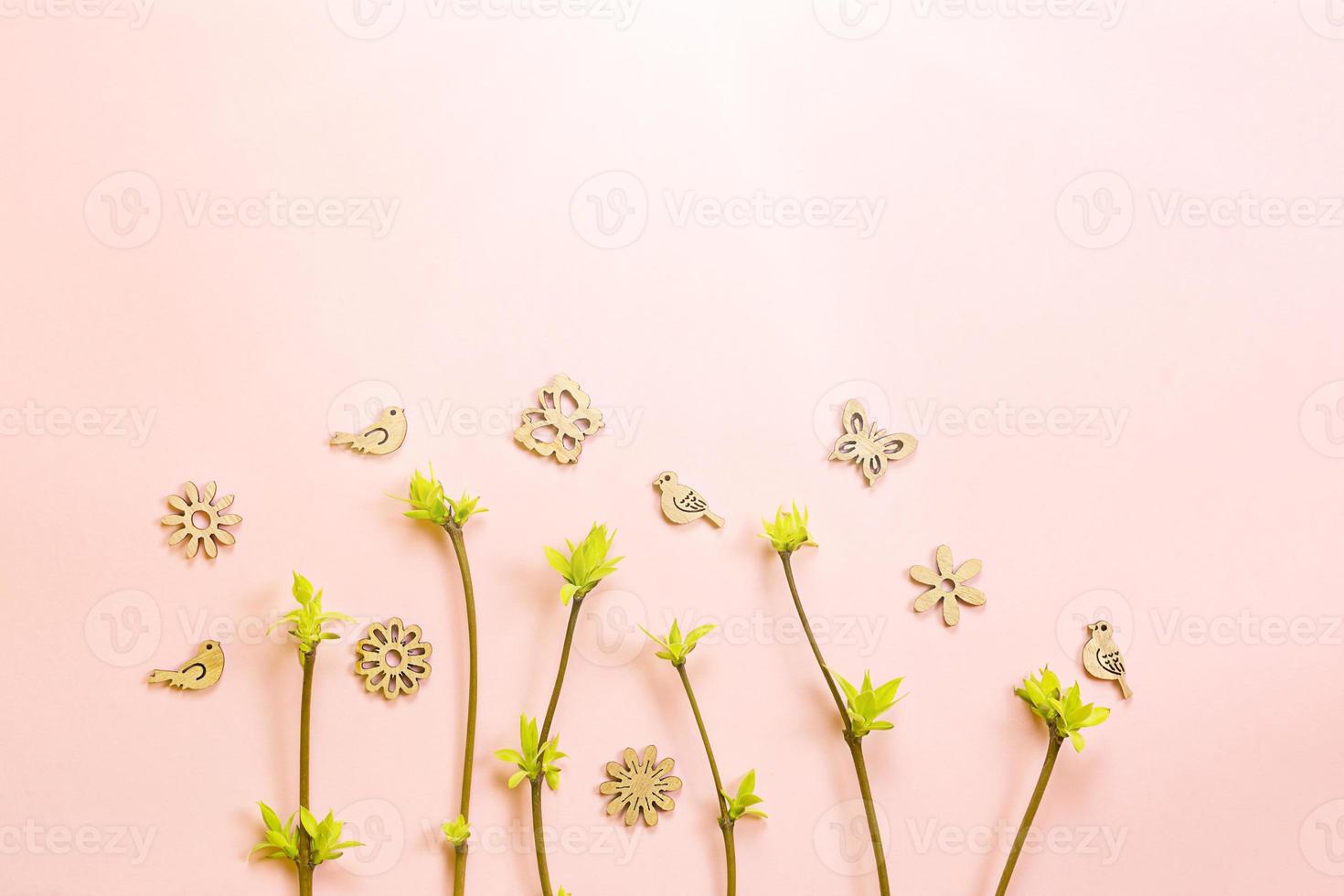 delicadas hojas pequeñas de capullos abiertos en ramas-brotes sobre un fondo rosa. primavera, comienzo de una nueva vida, ternura. copia espacio, marco foto