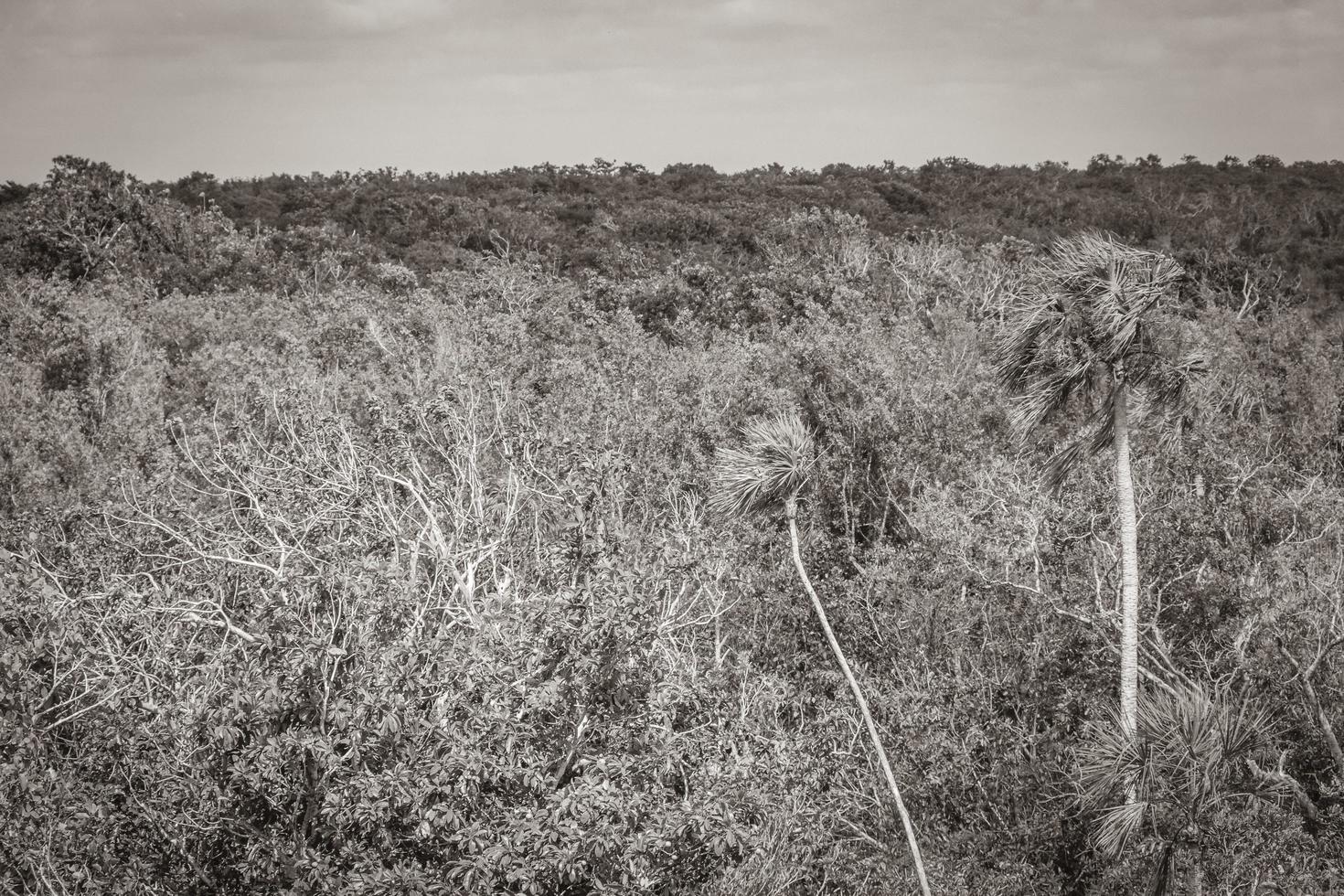 Muyil Lagoon panorama view in tropical jungle of amazing Mexico. photo