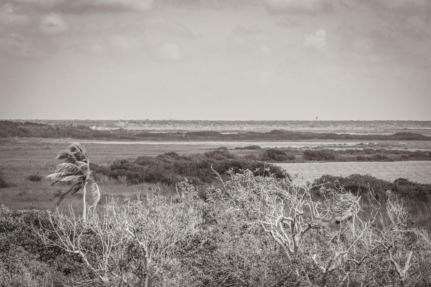 Muyil Lagoon panorama view in tropical jungle of amazing Mexico. photo