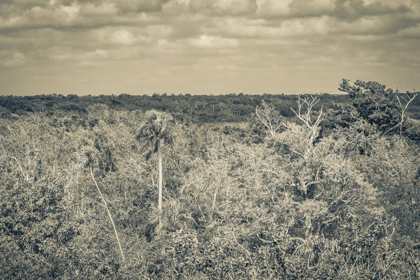 Muyil Lagoon panorama view in tropical jungle of amazing Mexico. photo