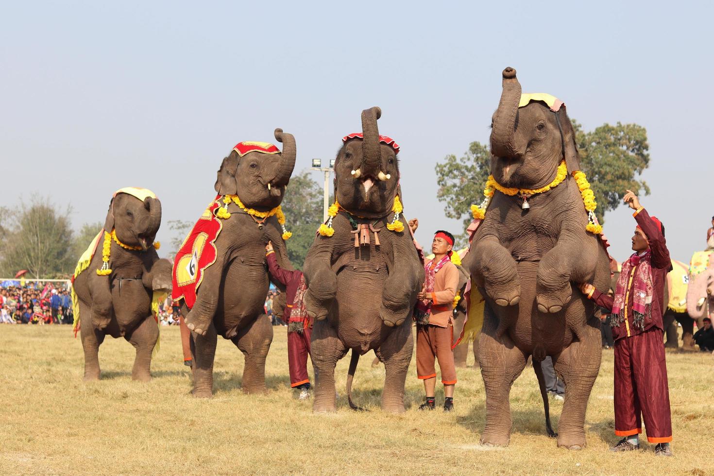 Sayaboury Province, Laos, 2018-Elephant Festival photo