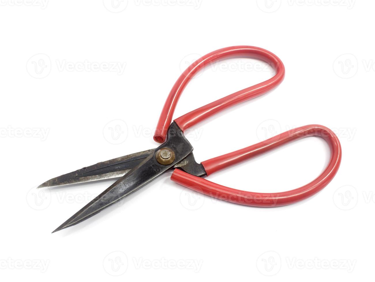 Old scissors isolated on a white background photo