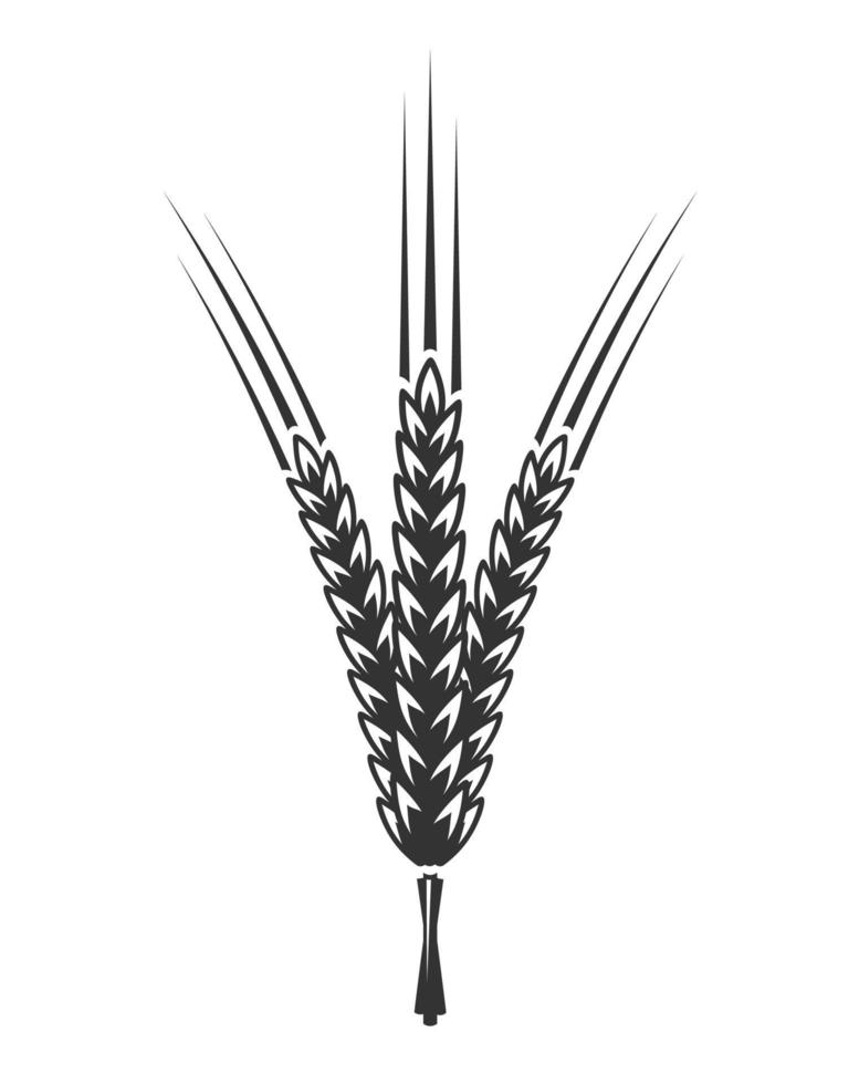 Spikelet hand drawn vector