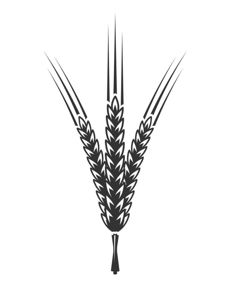 Spikelet hand drawn vector