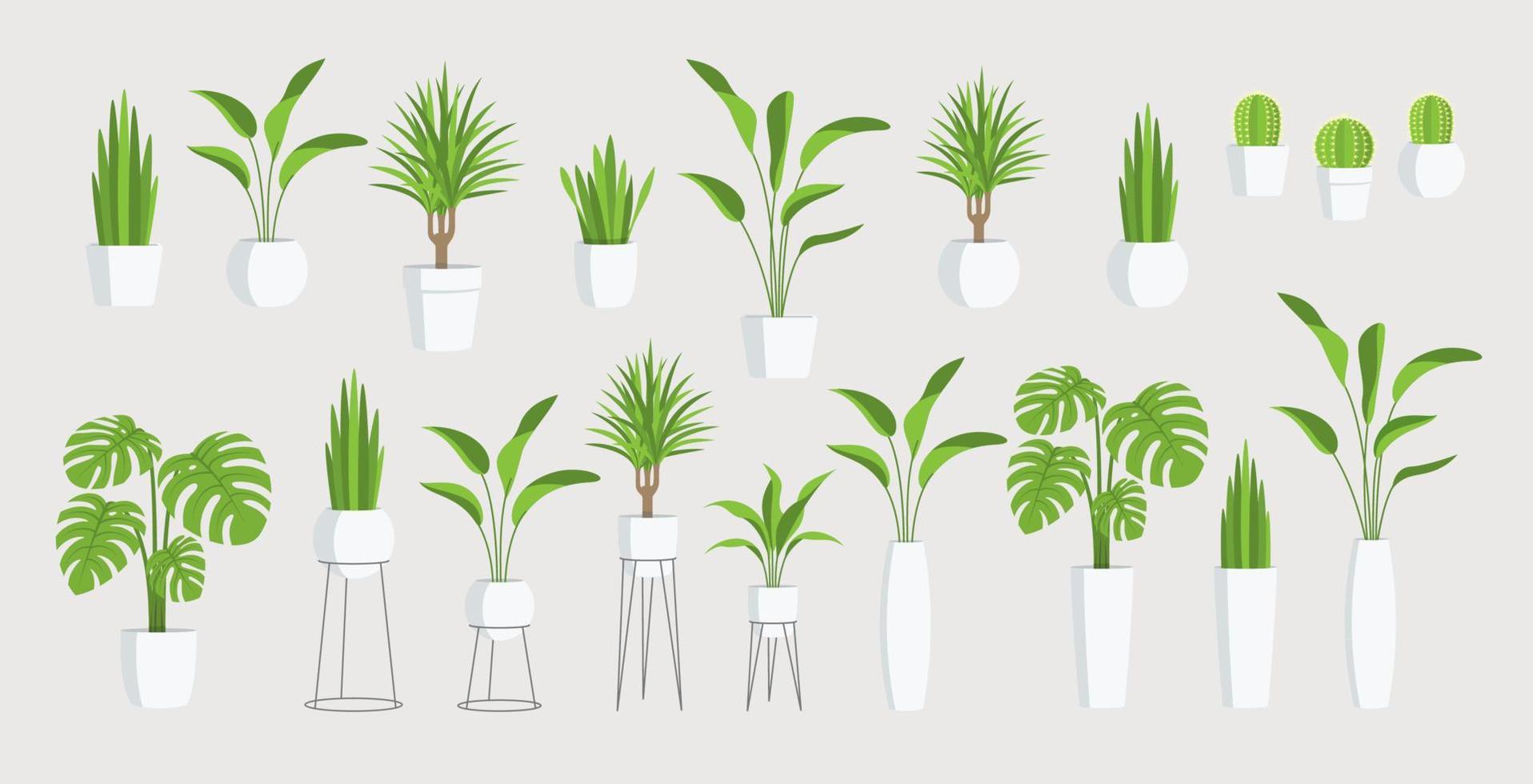 Set of home flowers in a pots vector
