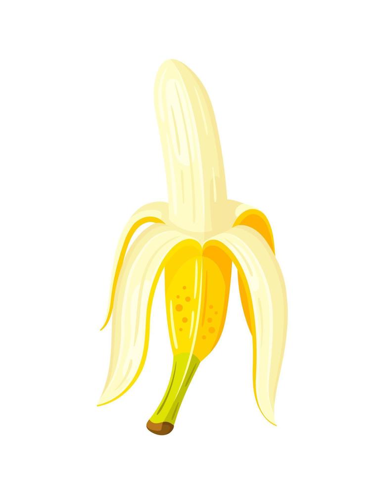 Yellow banana isolated on white background vector