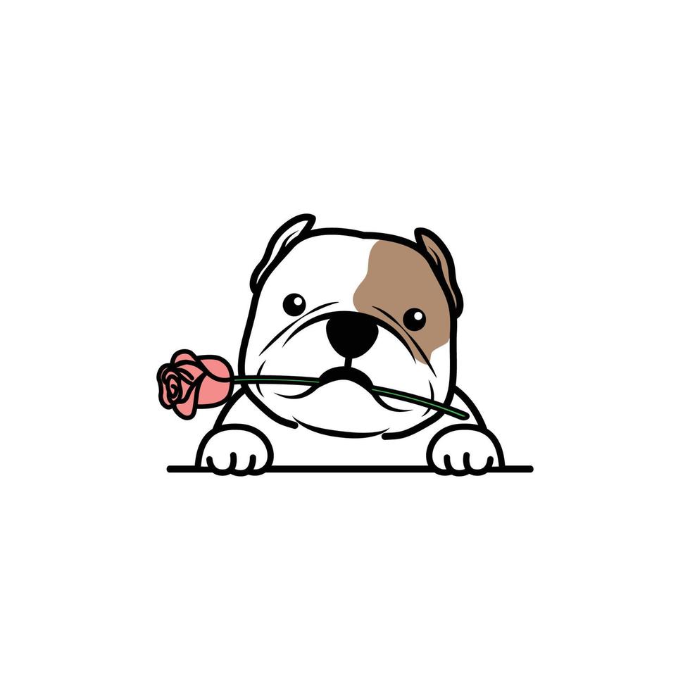 Cute american bully dog holding a rose in mouth cartoon, vector illustration