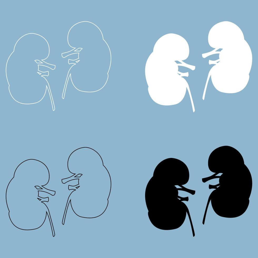 Kidney  the black and white color icon . vector