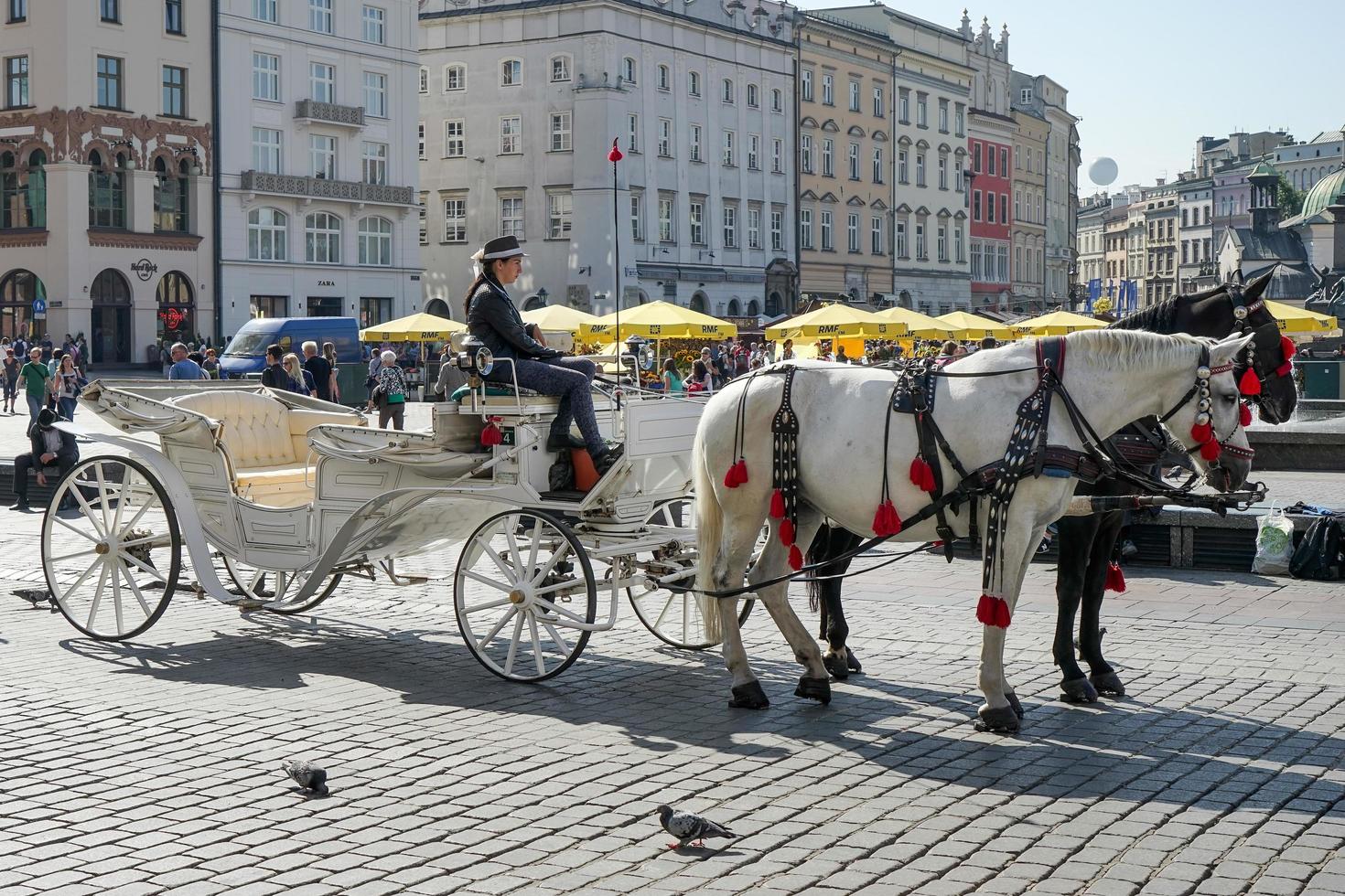Krakow, Poland, 2014. Carriage and horses photo