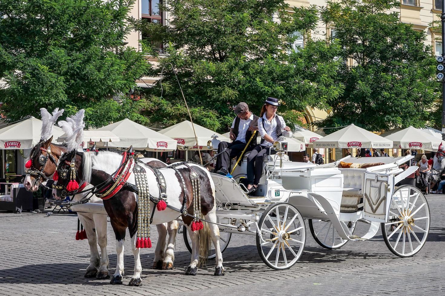 Krakow, Poland, 2014. Carriage and Horses photo