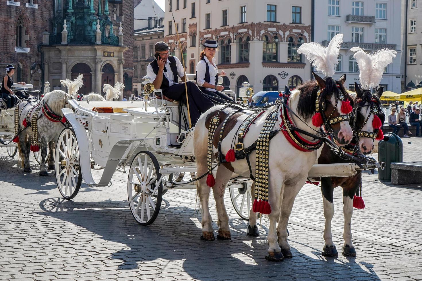 Krakow, Poland, 2014. Carriage and Horses photo