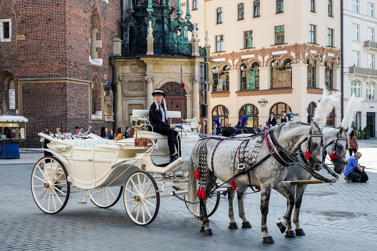 Krakow, Poland, 2014. Carriage and horses photo
