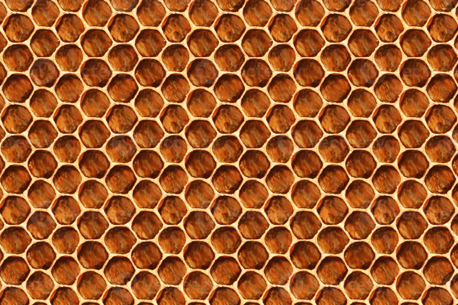 Honeycomb pattern for background and texture. Beekeeping concept. photo