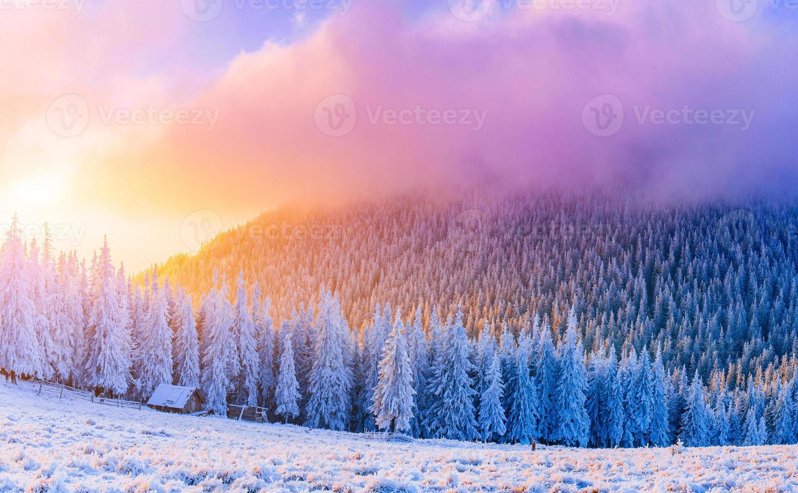 sunny winter landscape photo