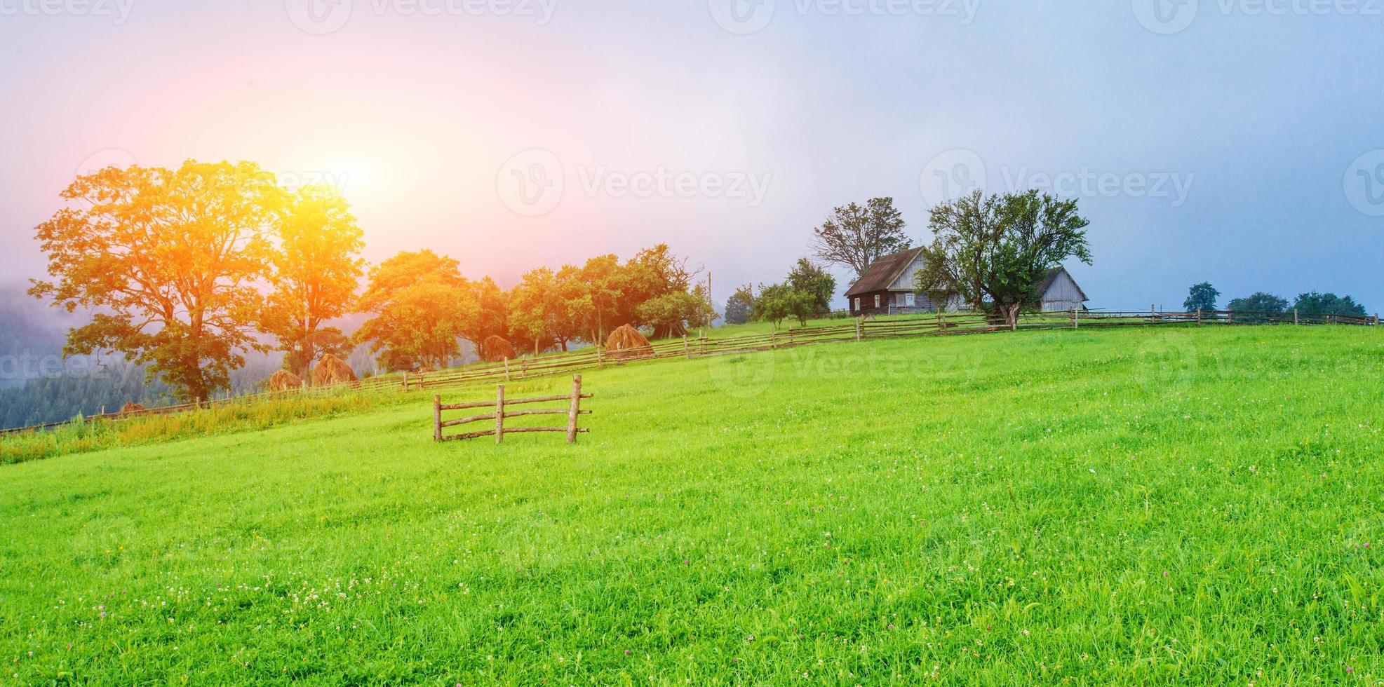 Blue Sky with a Beautiful Meadow photo