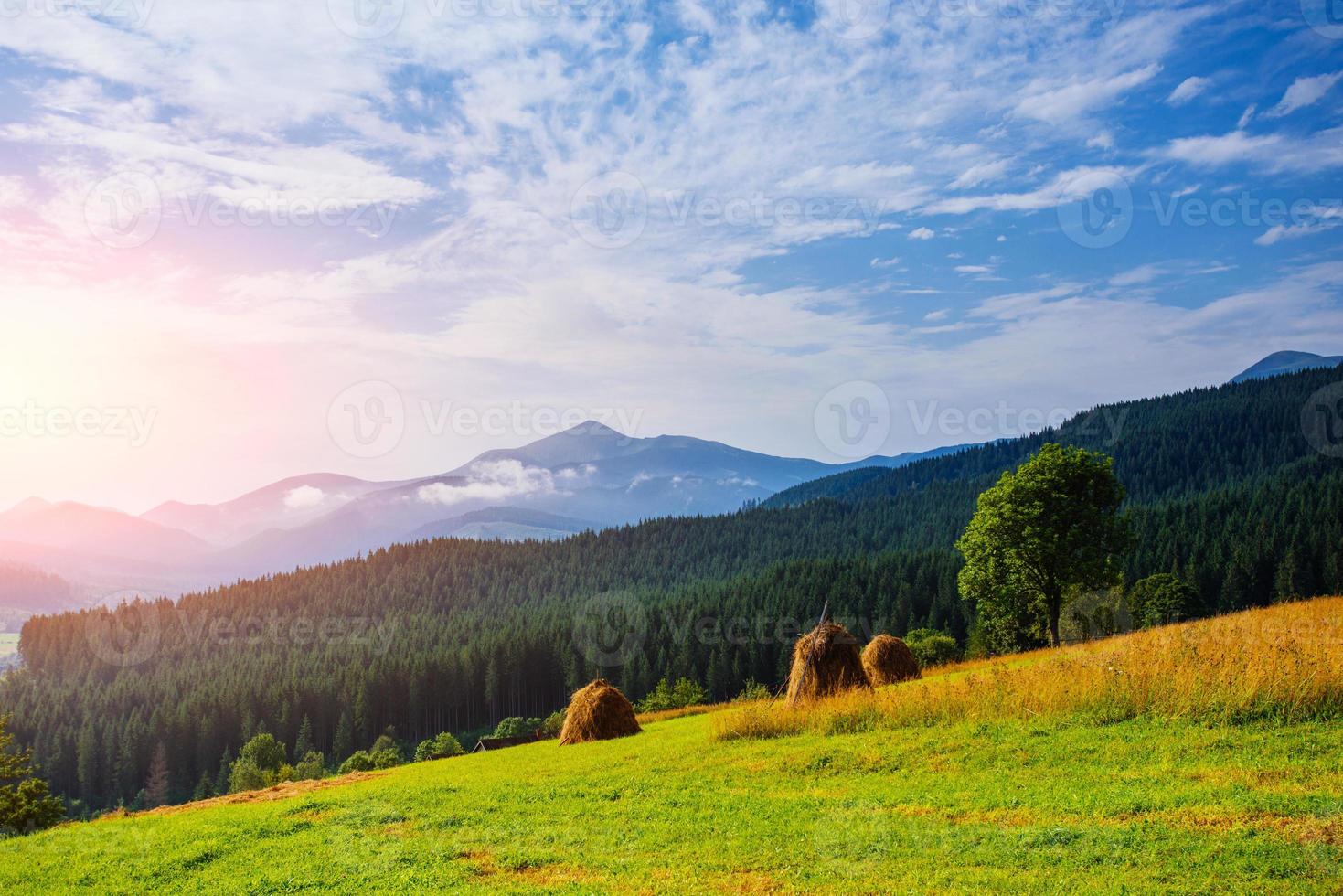 Stack of hay on a green meadow photo