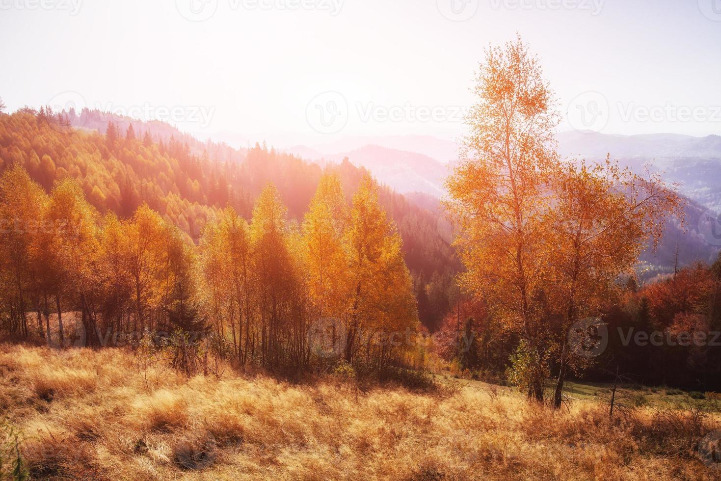 hermoso tiempo de montaña de otoño en los cárpatos foto