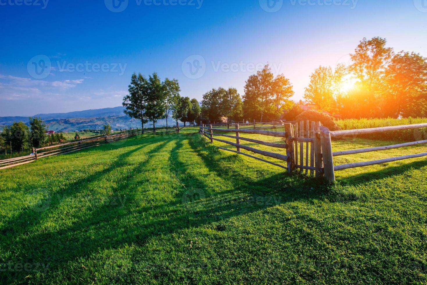 cielo azul con un hermoso prado foto