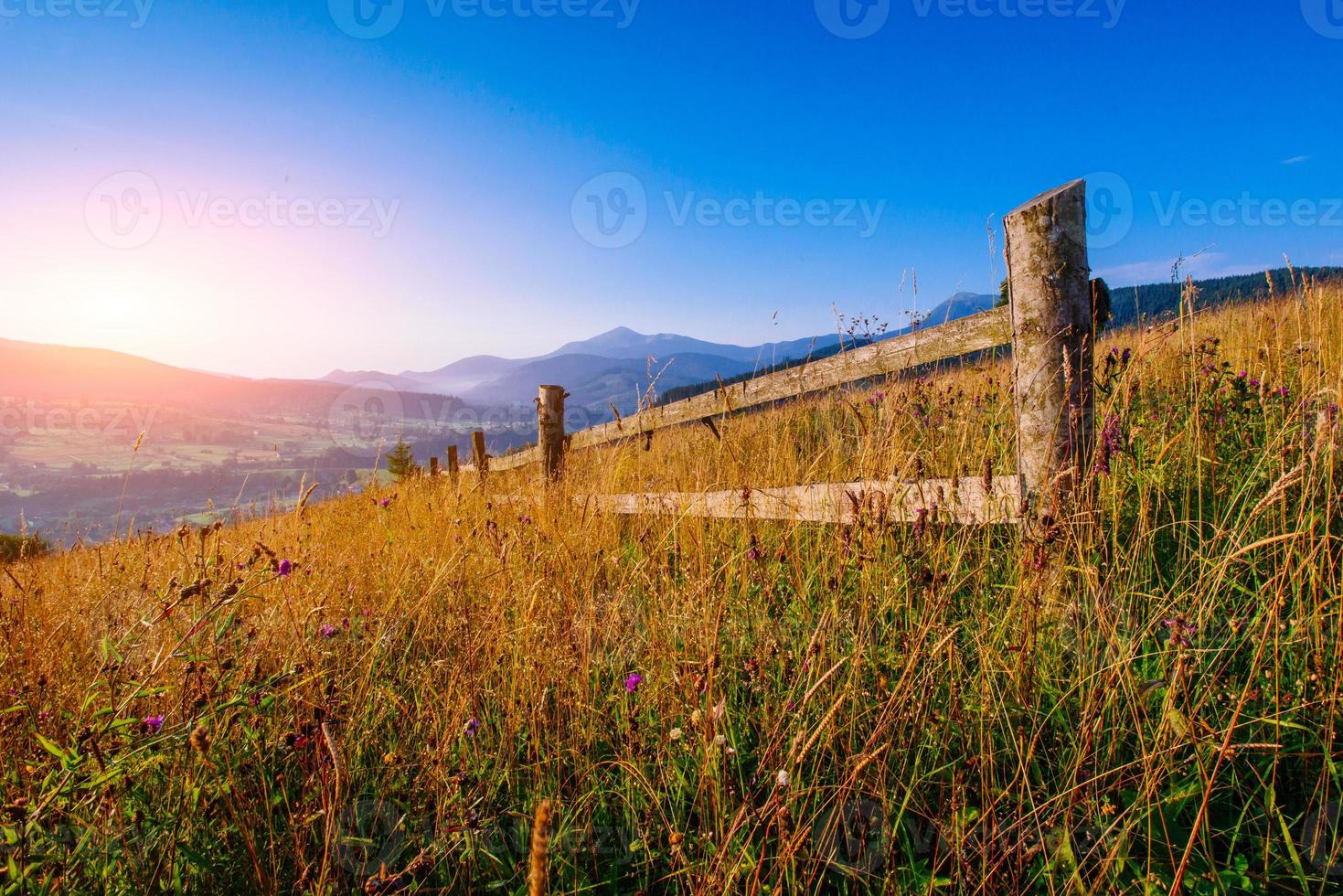 Colorful summer landscape photo