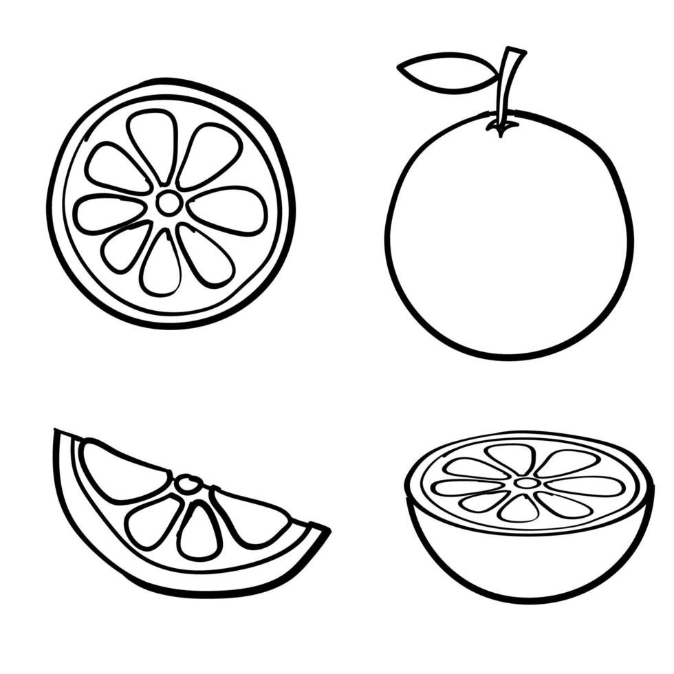 doodle orange fruit illustration collection vector