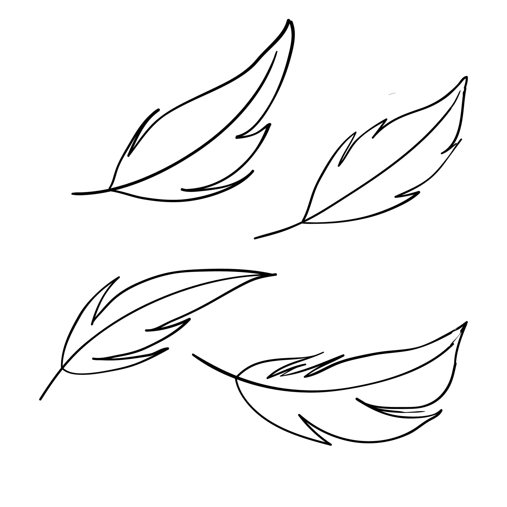 Simple Feather Outline