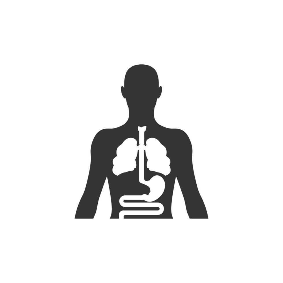 icono de silueta de órganos internos humanos vector