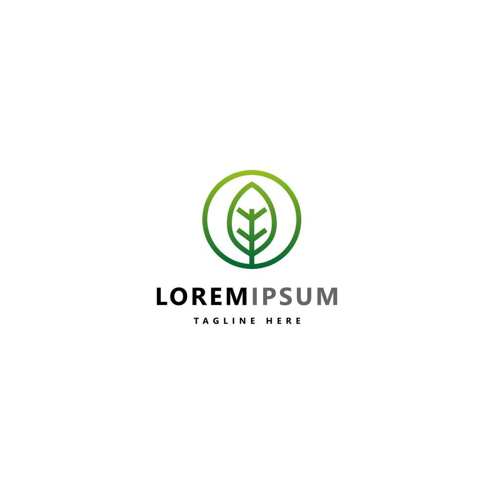 Abstract leaf logo vector illustration