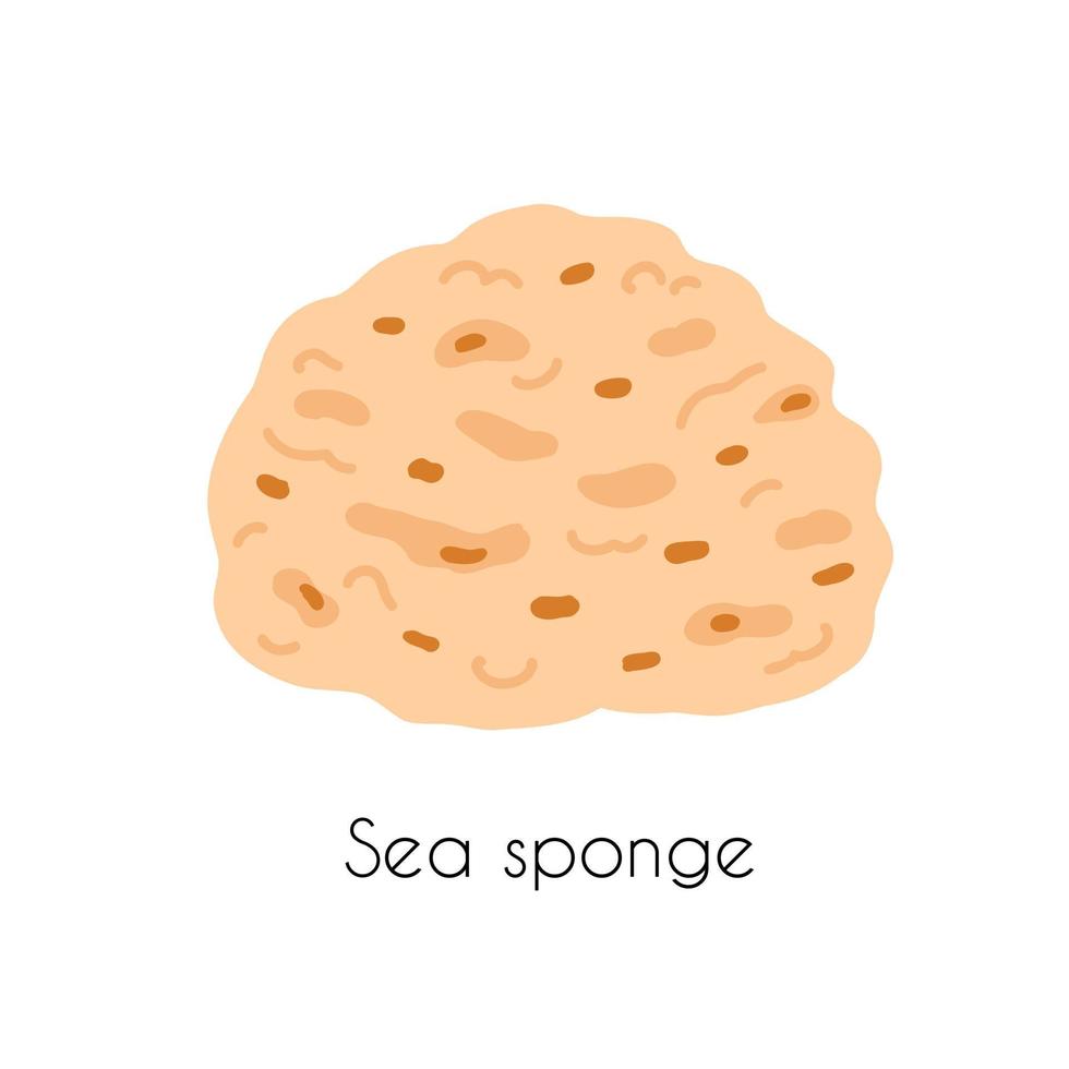 Vector illustration of sea sponges in cartoon flat style solated on a white background. Zero waste natural eco products for washing dishes, body.