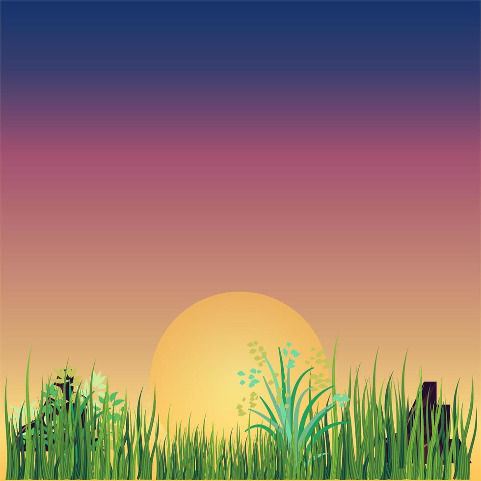 Sunset Grass Background vector