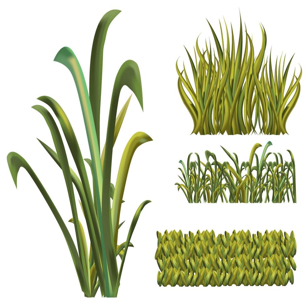 elementos de hierba y arbustos vector