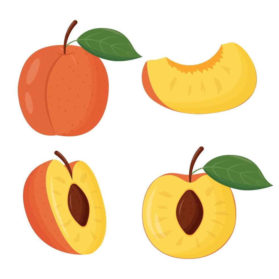 Set of orange peaches with green leaves isolated on white background. Flat vector illustration.