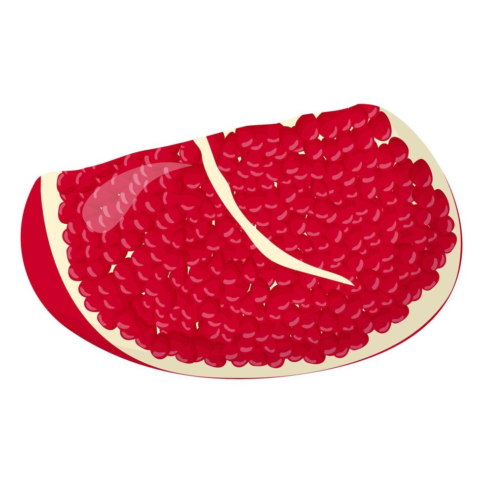 A piece of pomegranate isolated on white background. Flat vector illustration.