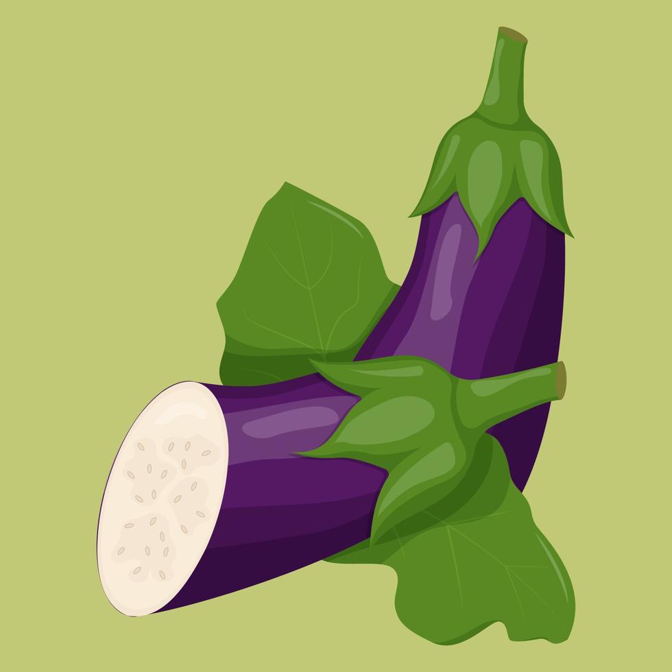 Whole eggplant isolated on background. Flat vector illustration