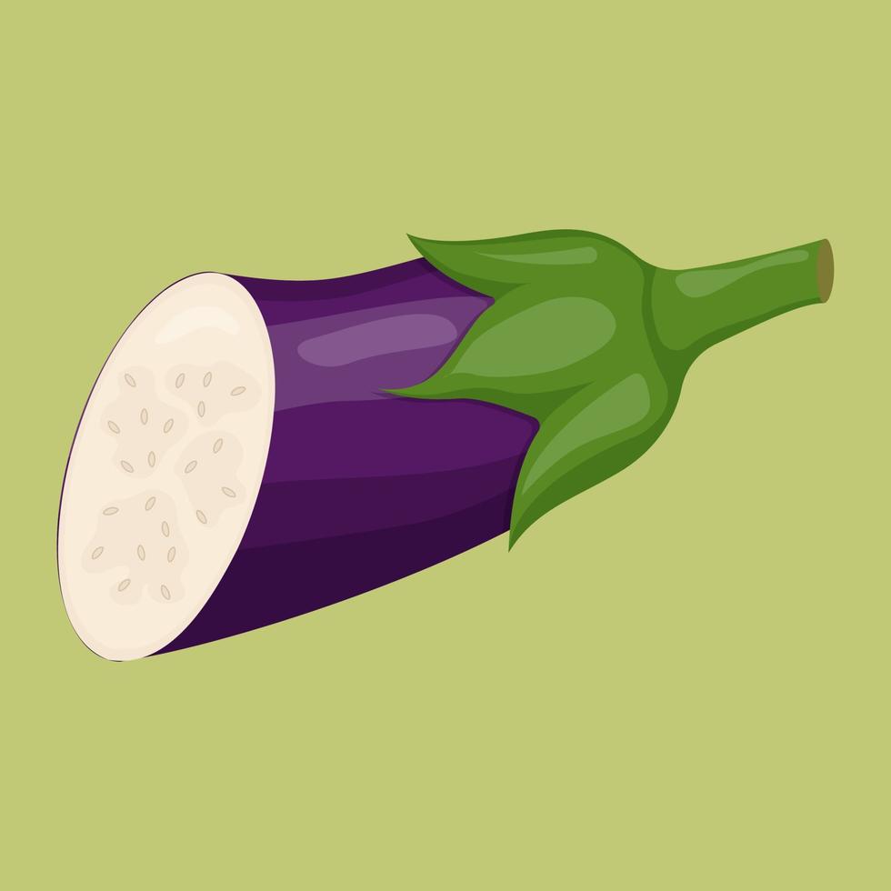 Half of eggplant isolated on background. Flat vector illustration.