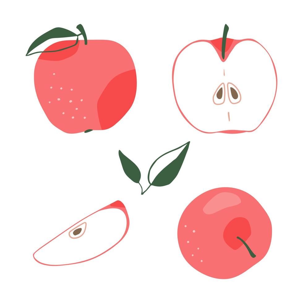 conjunto de manzanas dibujadas a mano vector