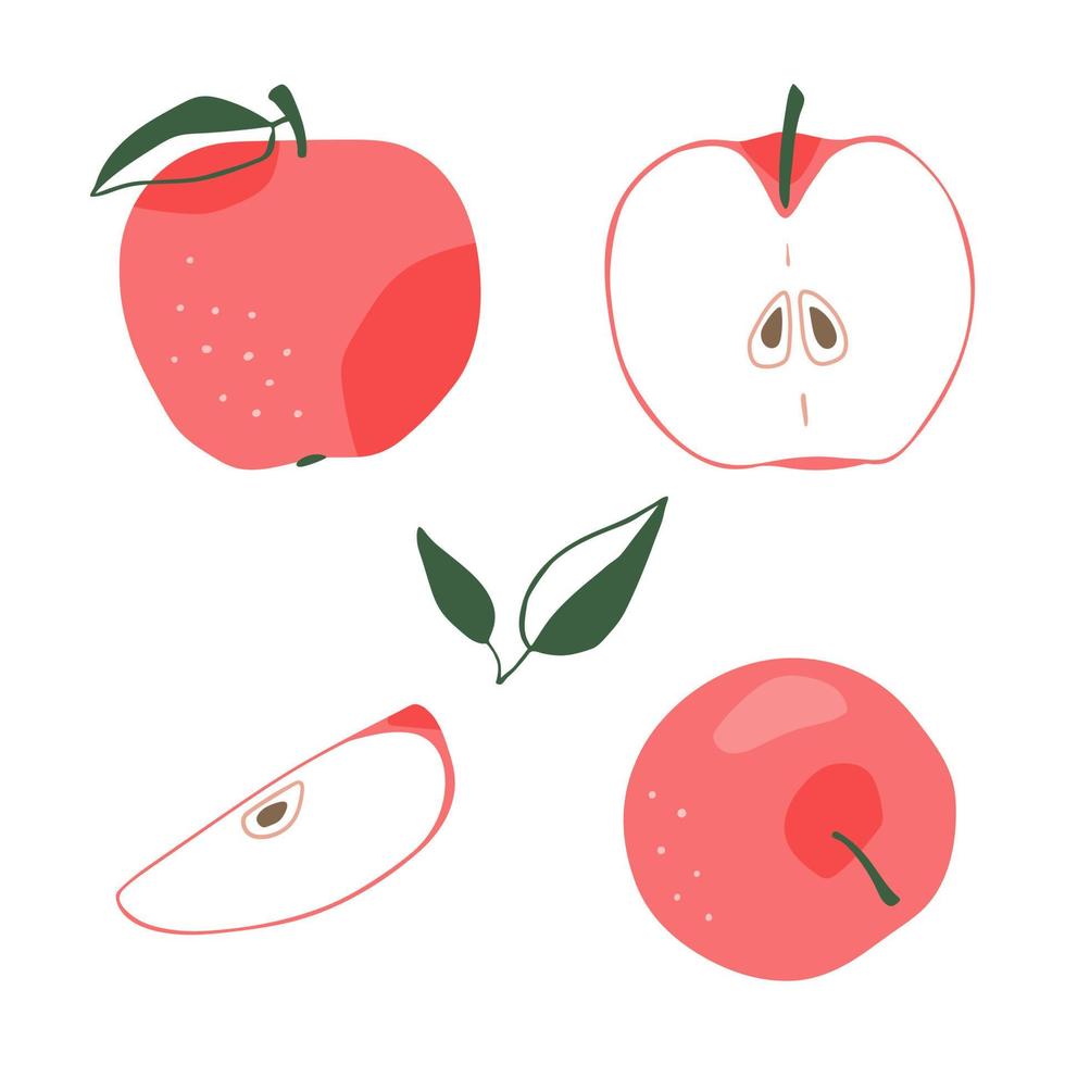 Set of hand drawn apples vector