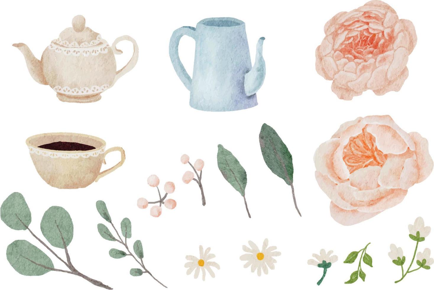 watercolor orange peach blooming rose with teapot container elements collection vector